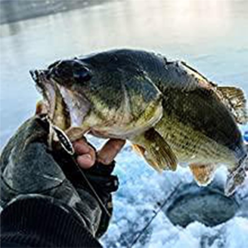 ABUE-Kayak Portable Fish Depth - Fishing Boat Depth Finder 리뷰 및 가격