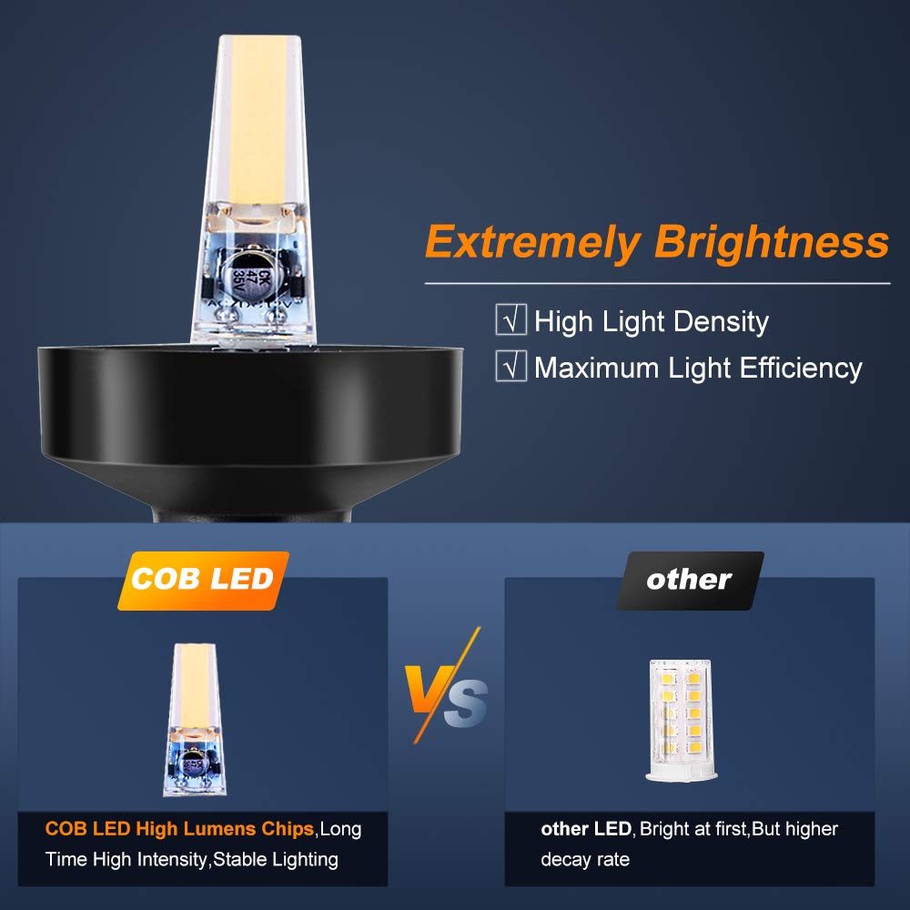 360 Degree White LED Fold Down - Fishing Boat Anchor 리뷰 및 가격